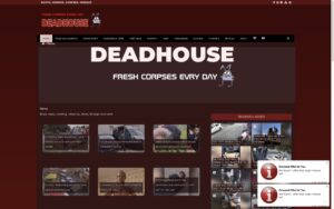 Sites Like BestGore: Exploring Alternative Platforms